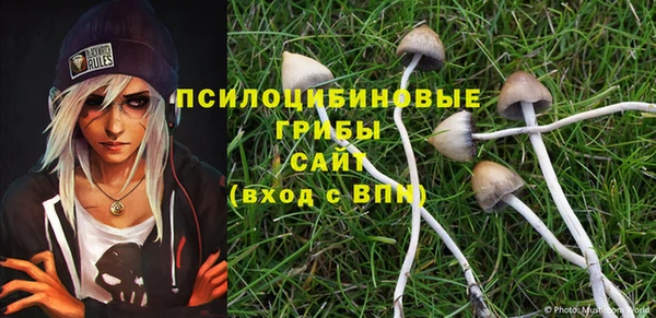 MESCALINE Козловка