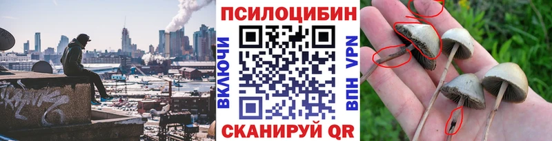 даркнет сайт  Якутск  Псилоцибиновые грибы Psilocybine cubensis 